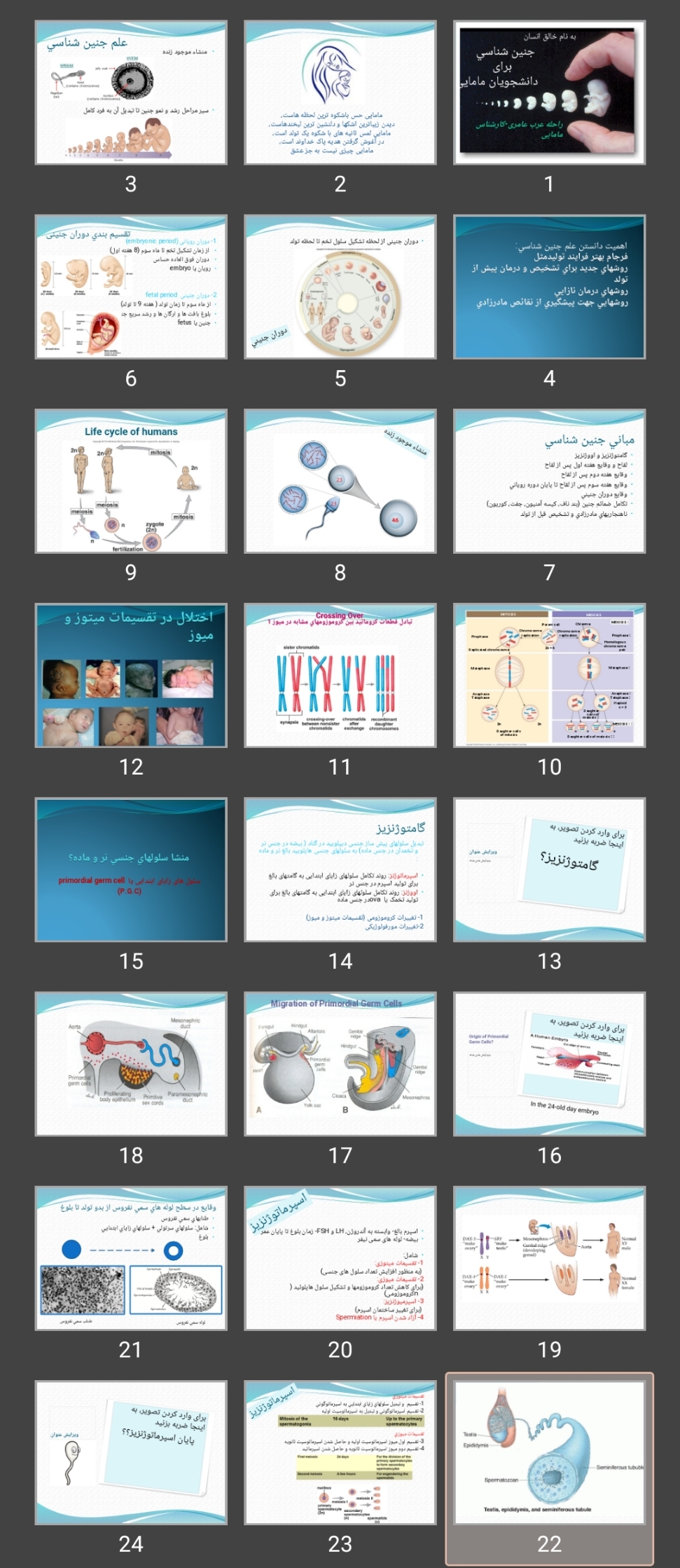 پاورپوینت جنین شناسی برای دانشجویان مامایی