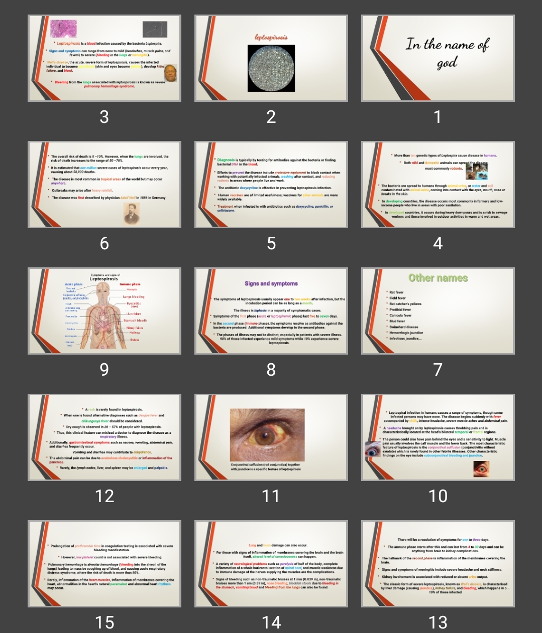 پاورپوینت leptospirosis