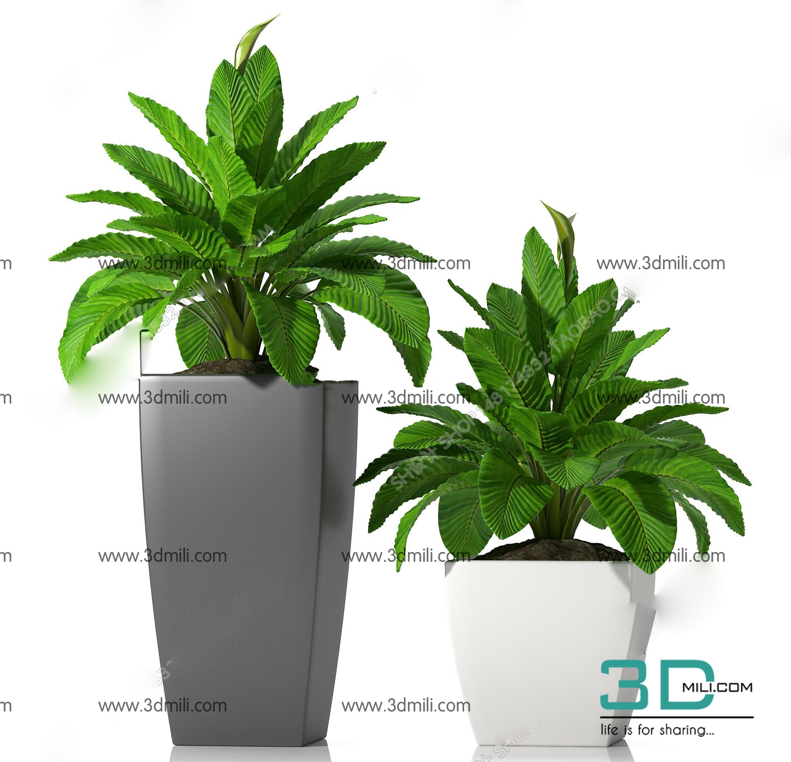 آبجکت سه بعدی گل