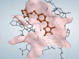 پاورپوینت , کاربرد رایانه در مدلسازی پروتئین ها , 147 اسلاید , pptx