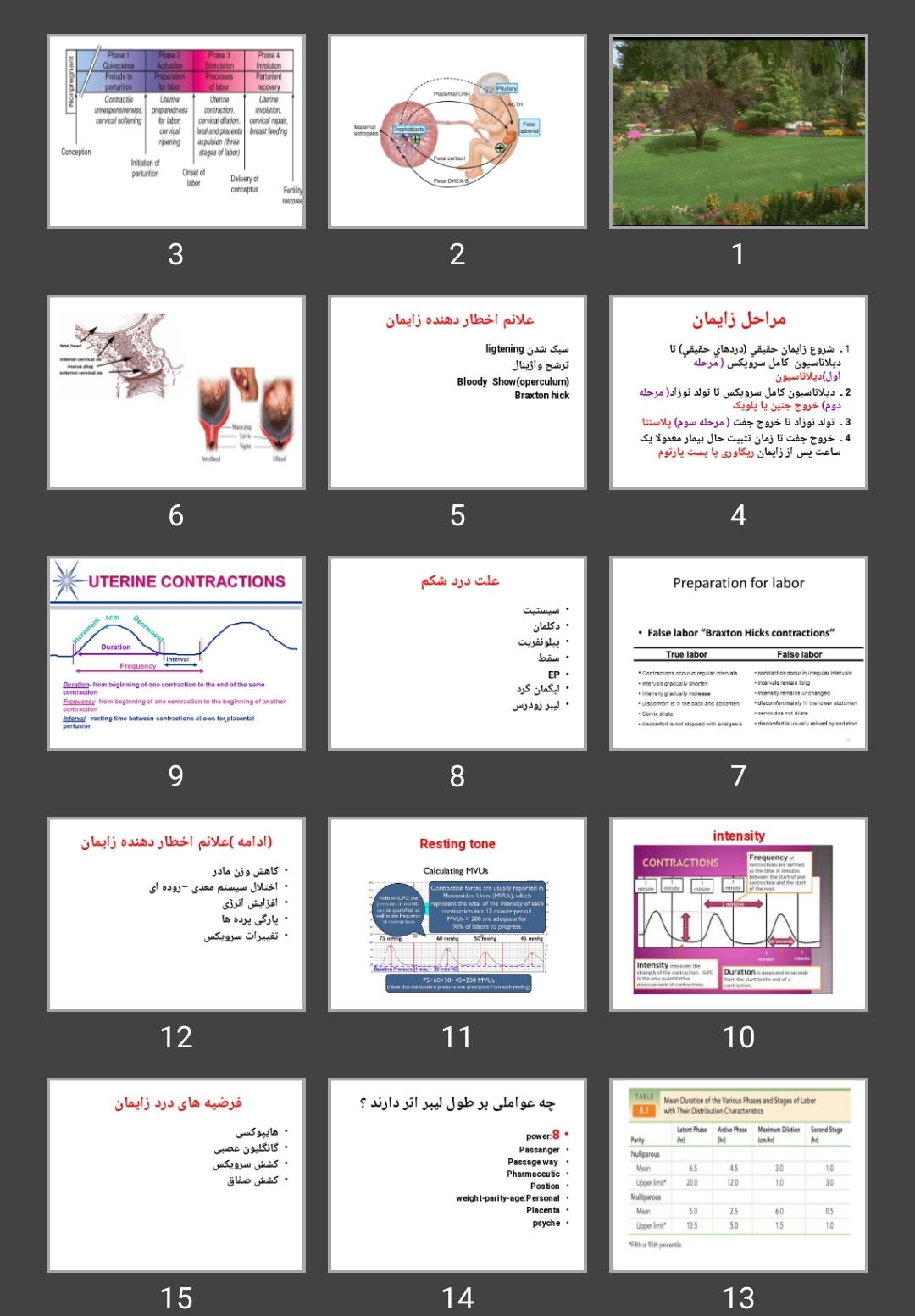 پاورپوینت بارداری ۲