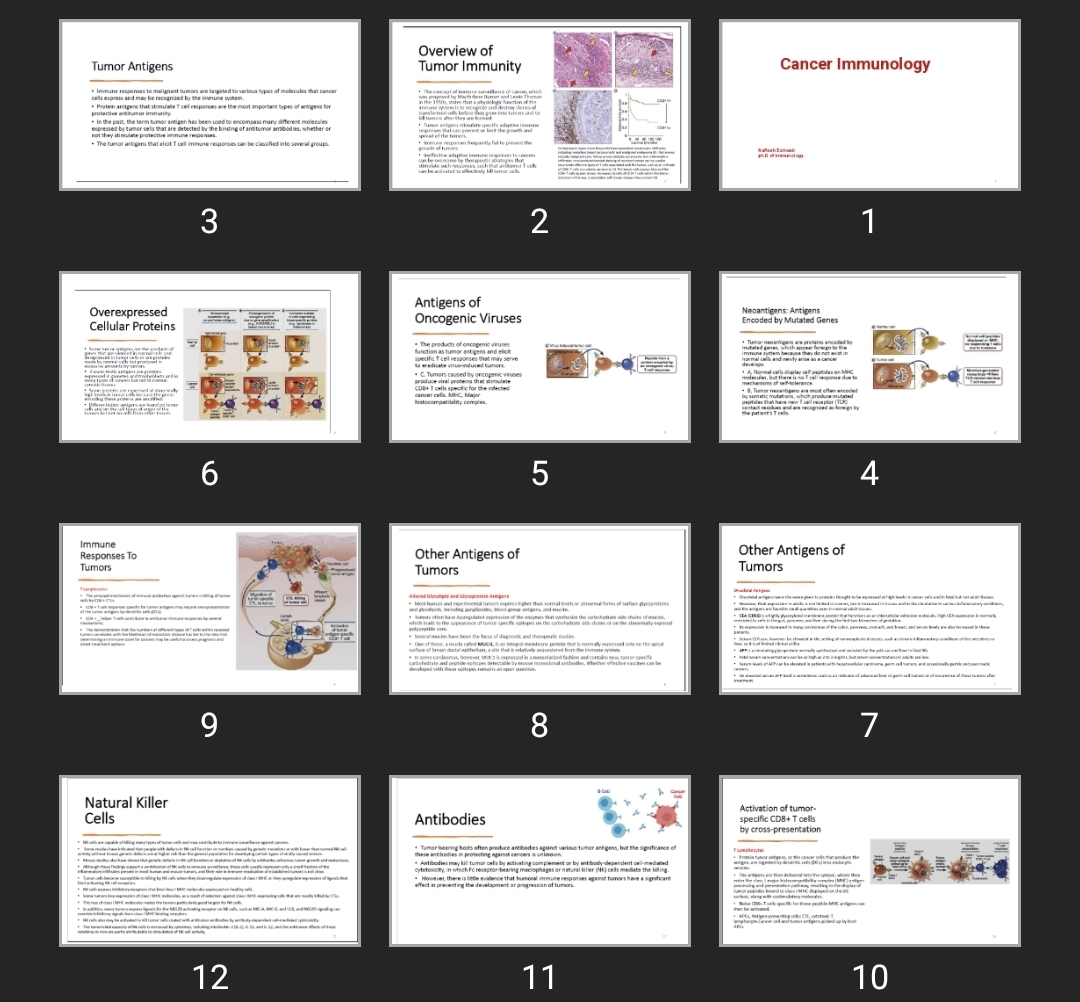 پاورپوینت Cancer Immunology