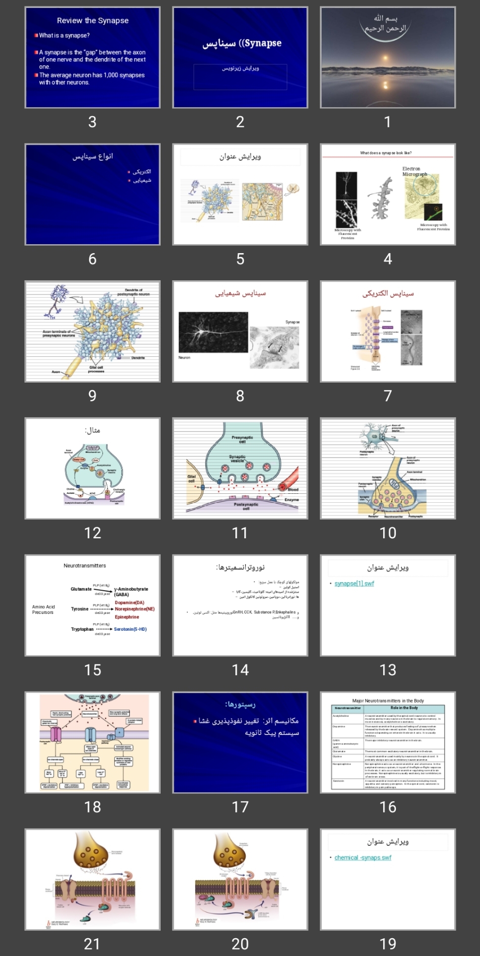 پاورپوینت سیناپس Synapse