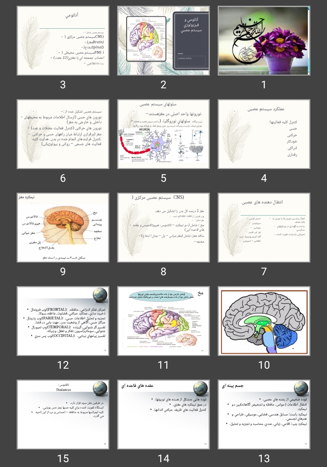 پاورپوینت آناتومی اعصاب