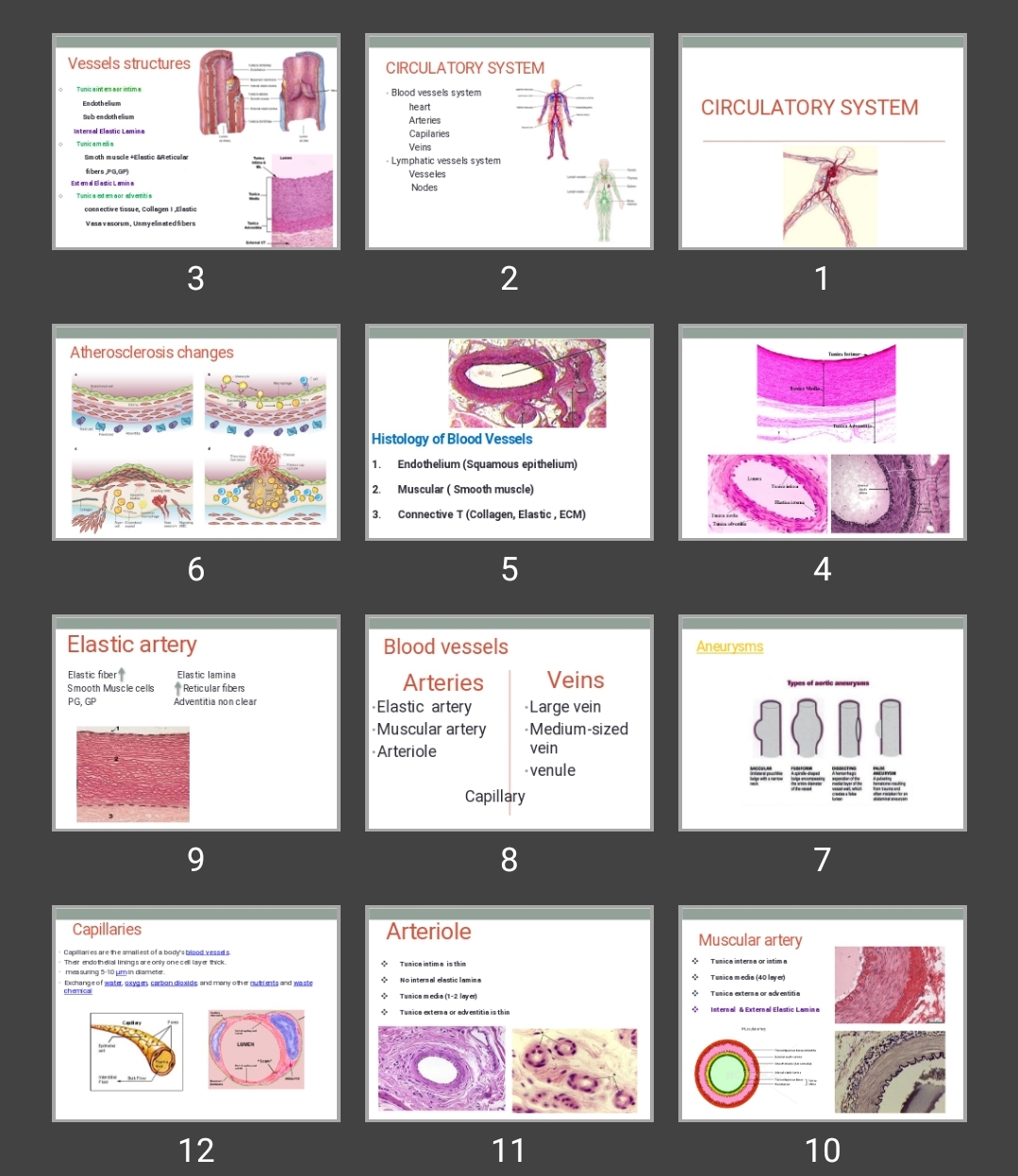 پاورپوینت CIRCULATORY SYSTEM