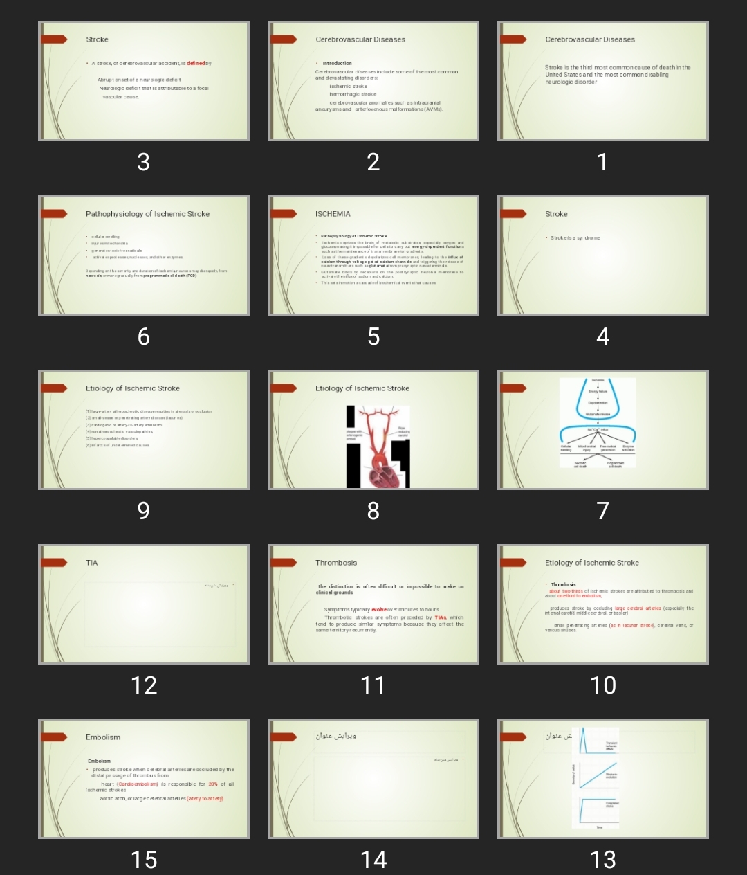 پاورپوینت Cerebrovascular Diseases