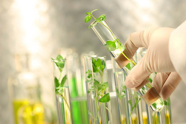دانلود مقاله بهبود کارایی و بهره‌وری از گیاهان دارویی به کمک تکنیک‌های زیست فناوری word