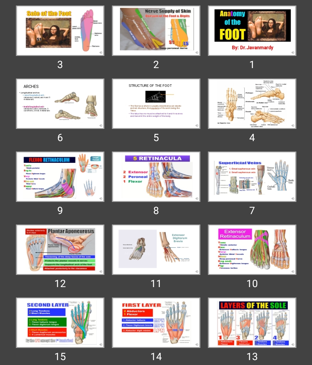 پاورپوینت Anatomy of the FOOT