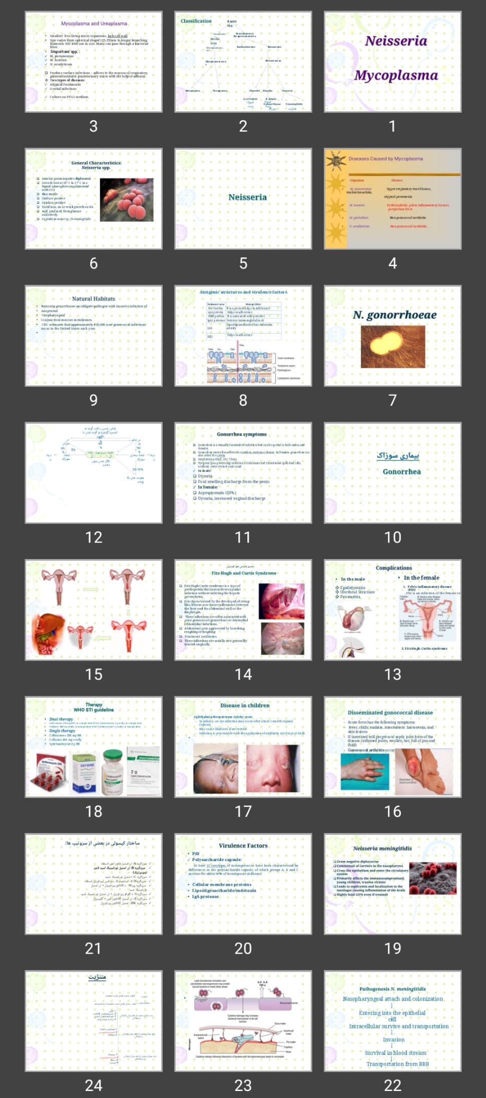 پاورپوینت Neisseria Mycoplasma