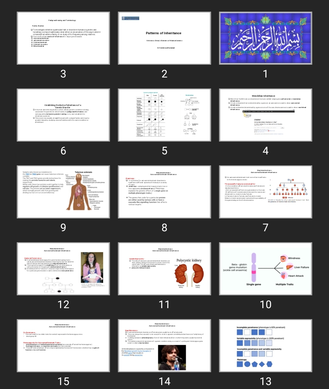 پاورپوینت Patterns of Inheritance