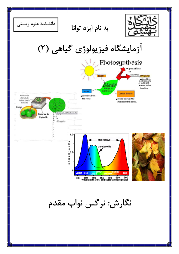 فیزلوژی گیاهی (جزوه) 🔬 نسخه کامل ✅