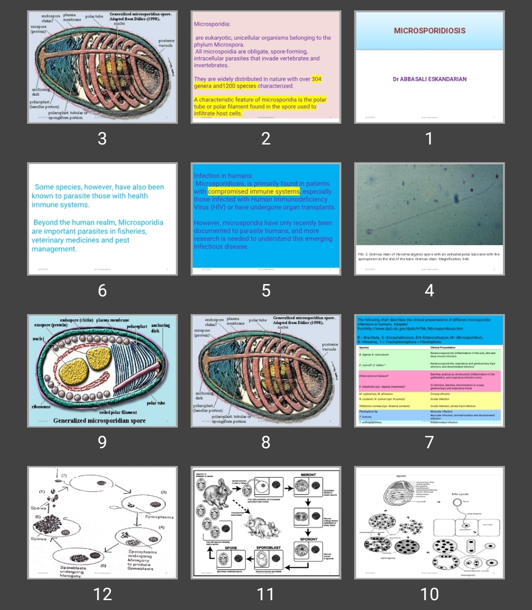 پاورپوینت MICROSPORIDIOSIS