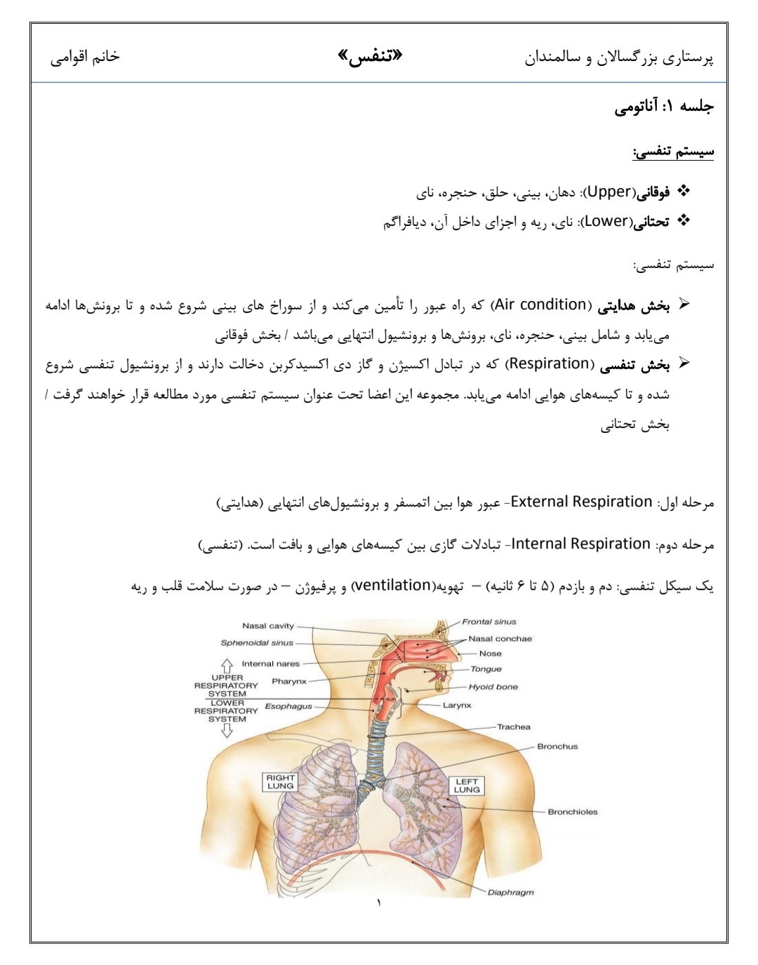 جزوه پرستاری بزرگسالان و سالمندان(تنفس)