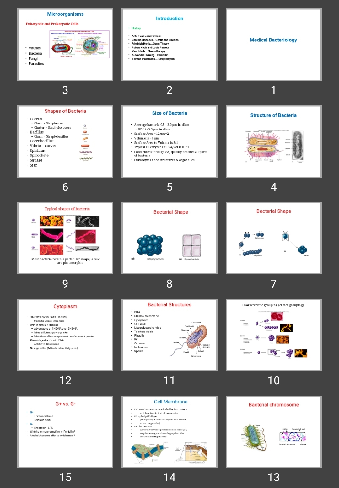 پاورپوینت Medical Bacteriology