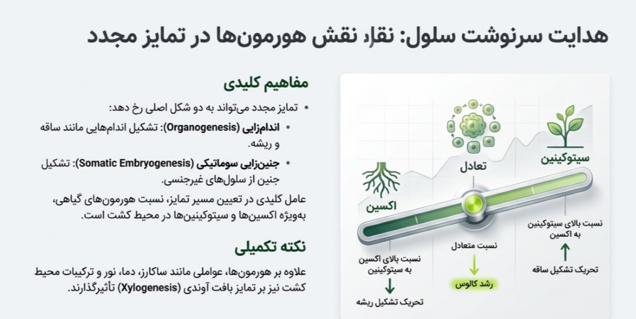 فایل های پرفروش 