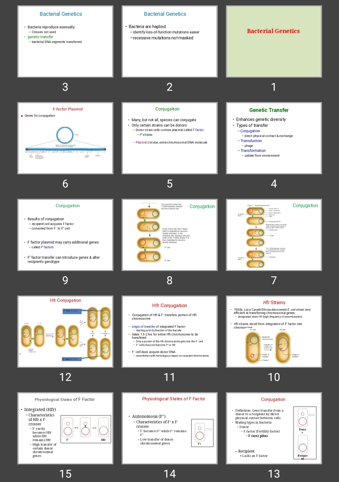 پاورپوینت Bacterial Genetics