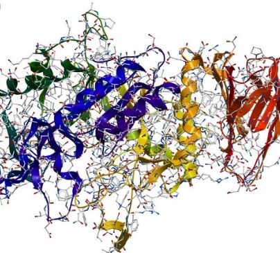 آنزیم گلوکواکسیداز و کاربرد آن