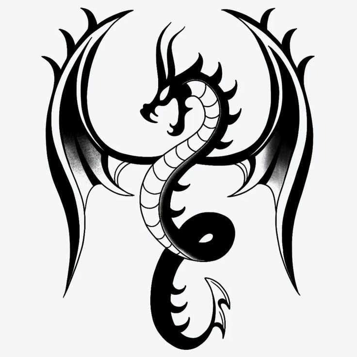 وکتور اژدها مناسب برای تتو