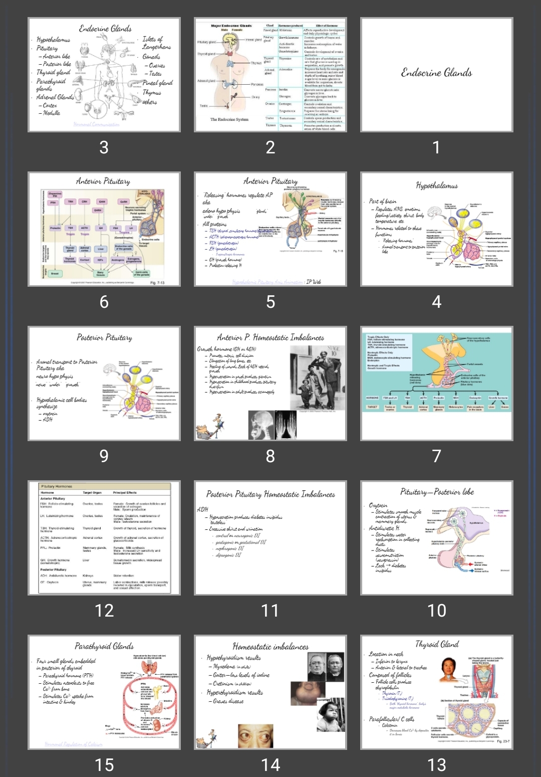 پاورپوینت Endocrine Glands