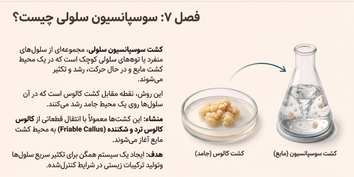 پاورپوینت /PDF تخصصی توسط هوش مصنوعی- از پنج فصل دوم(فصول 6-10)- کتاب اصول بیوتکنولوژی گیاهی-(کشت های پیشرفته و تنوع ژنتیکی)- مناسب امتحان و آزمون جامع"