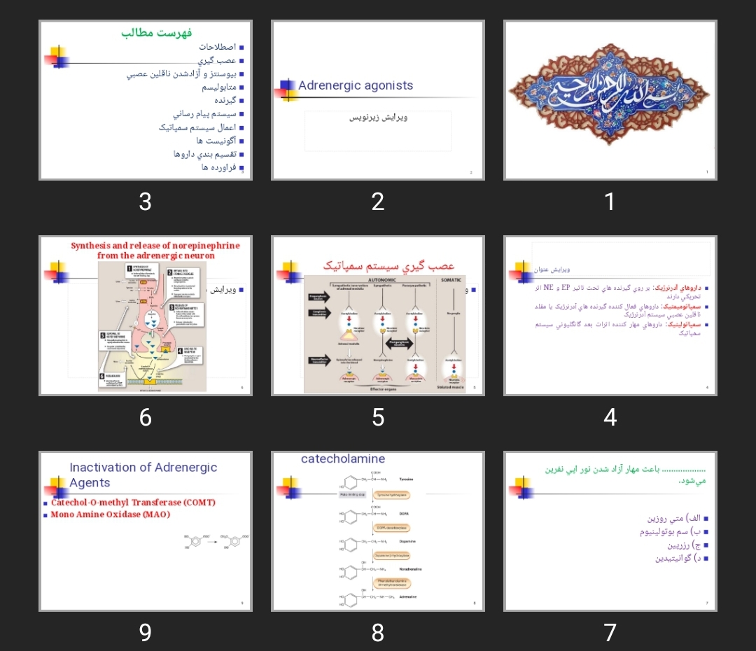پاورپوینت داروهای موثر بر سیستم سمپاتیک