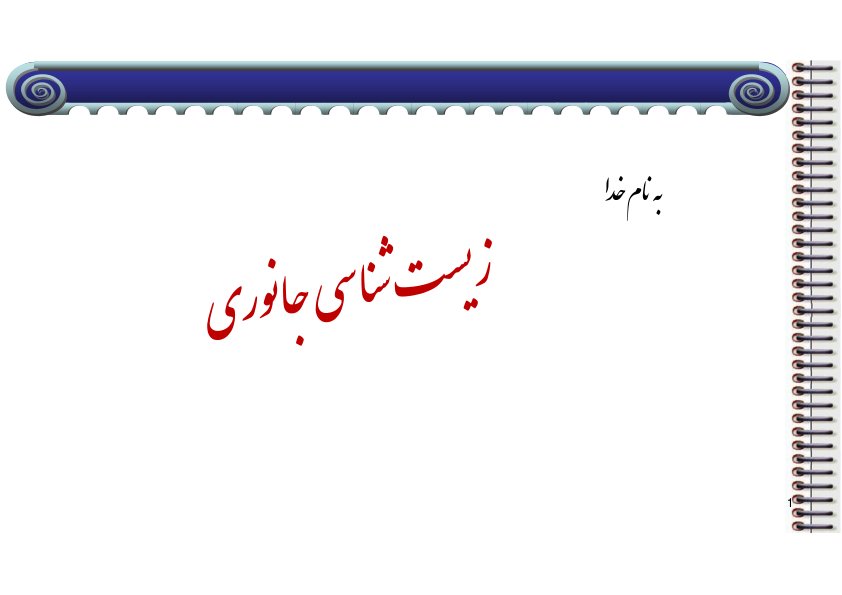 (نسخه کامل)✅           📝جزوه: زیست شناسی جانوری نرم تنان