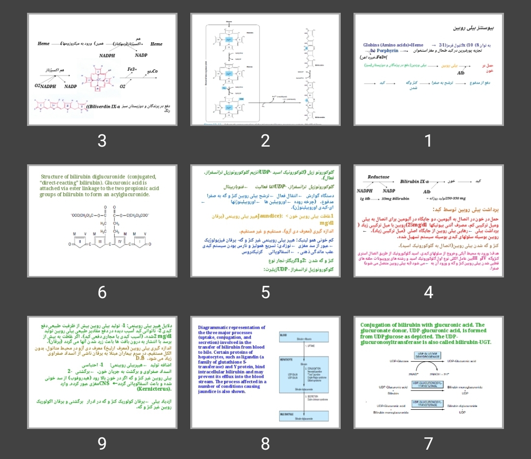 پاورپوینت بیوسنتز بیلی روبین