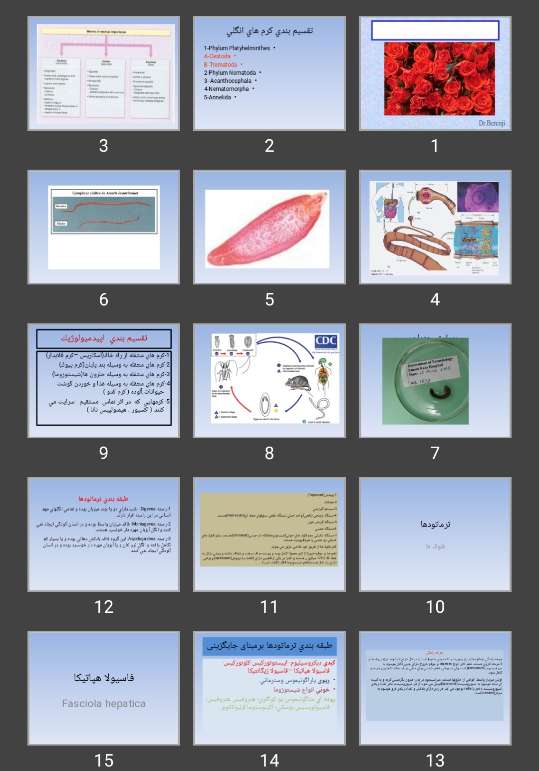 پاورپوینت کرم های انگلی