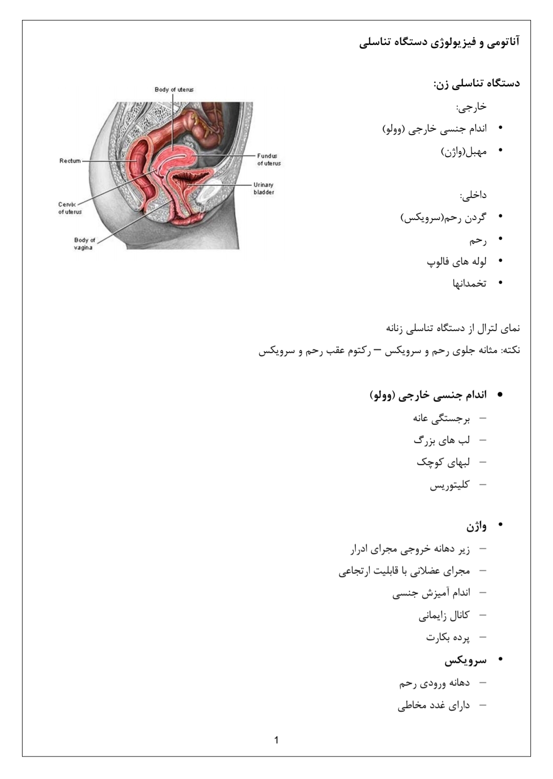 جزوه آناتومی و فیزیولوژی دستگاه تناسلی زنان