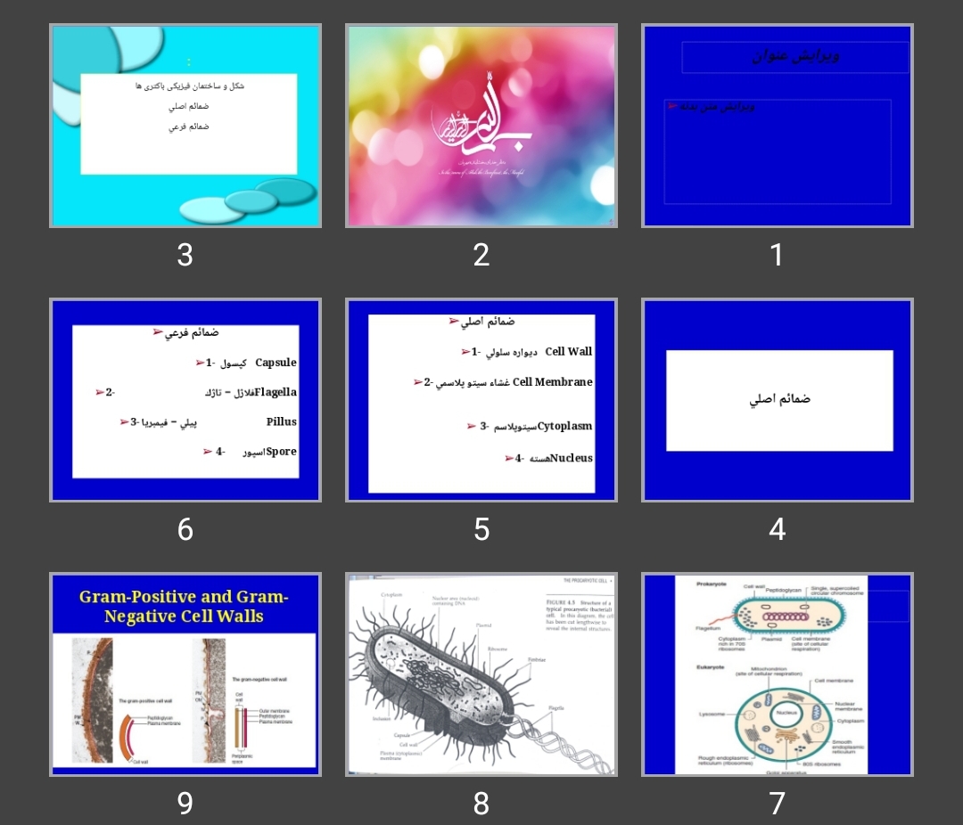 پاورپوینت شکل و ساختمان فیزیکی باکتری ها ضمائم اصلی ضمائم فرعی