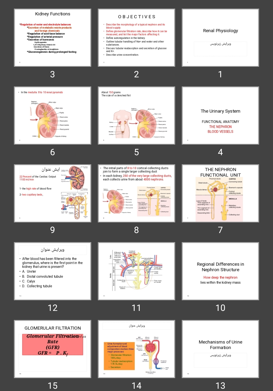 پاورپوینت Renal Physiology فیزیولوژی کلیه