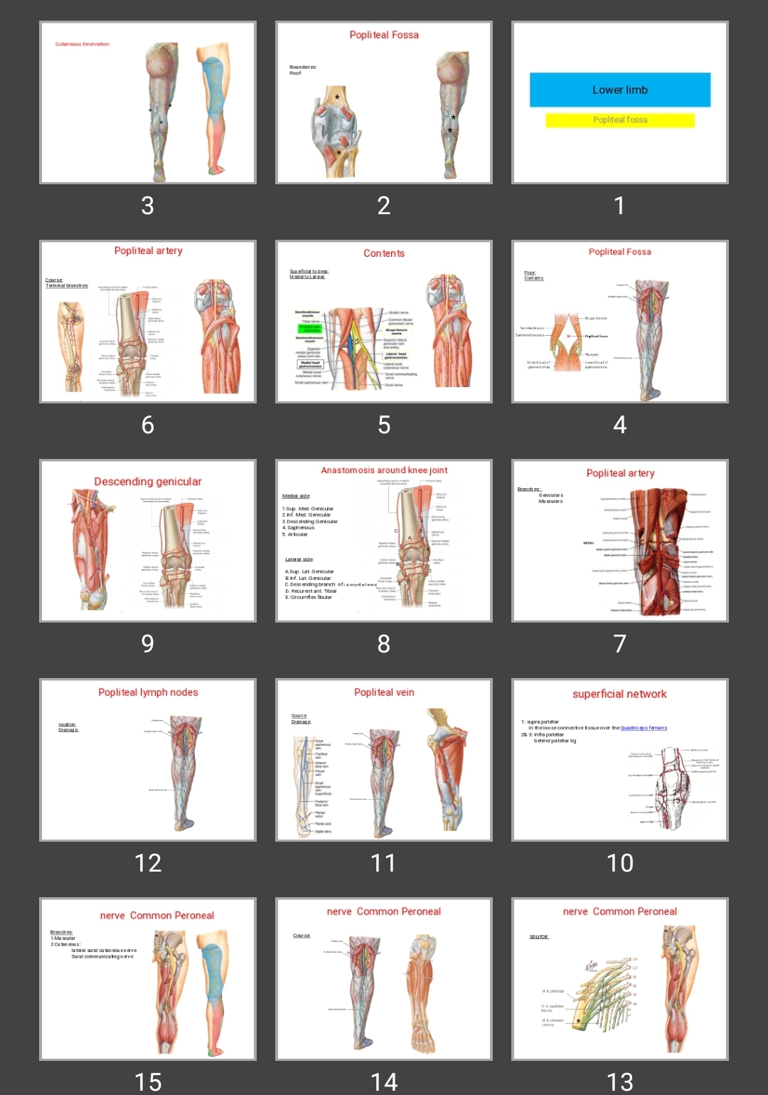 پاورپوینت popliteal fossa