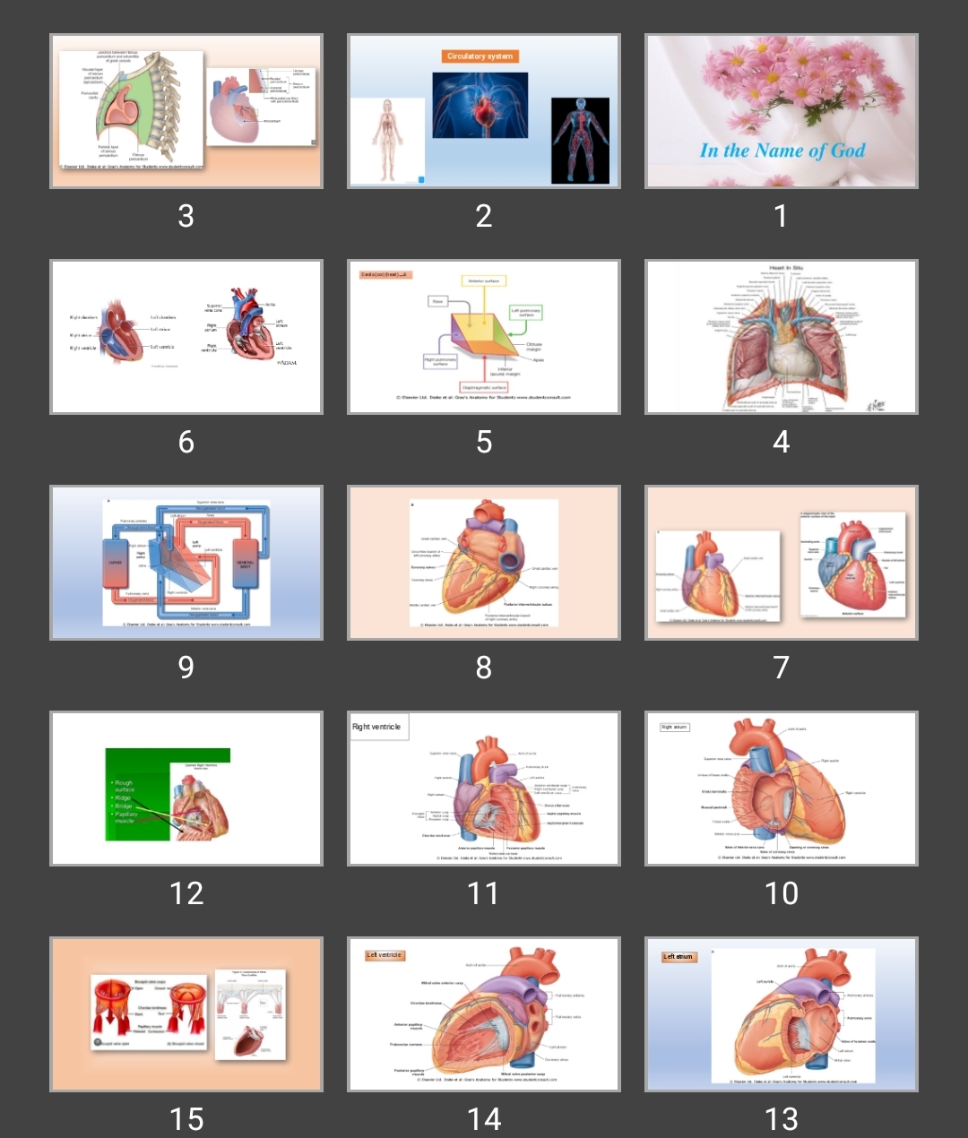 پاورپوینت Circulatory system