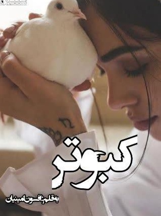 رمان عاشقانه کبوتر