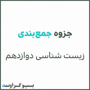 جمع بندی زیست دوازدهم برای امتحان نهایی و کنکور۱۴۰2