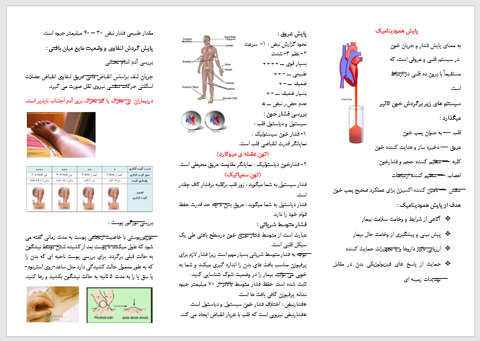 پمفلت پایس همودینامیک