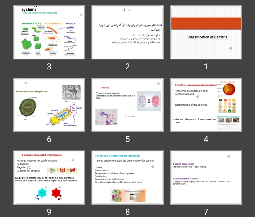 پاورپوینت طبقه بندی باکتری ها (Classification of Bacteria)