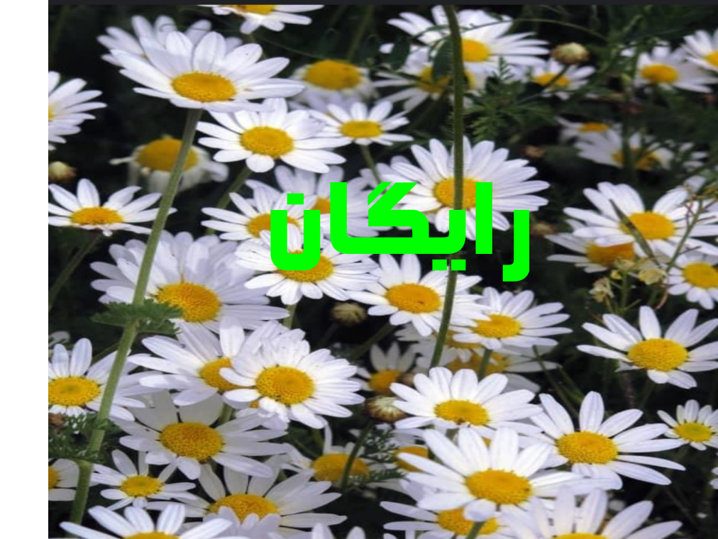 فایل های پرفروش 