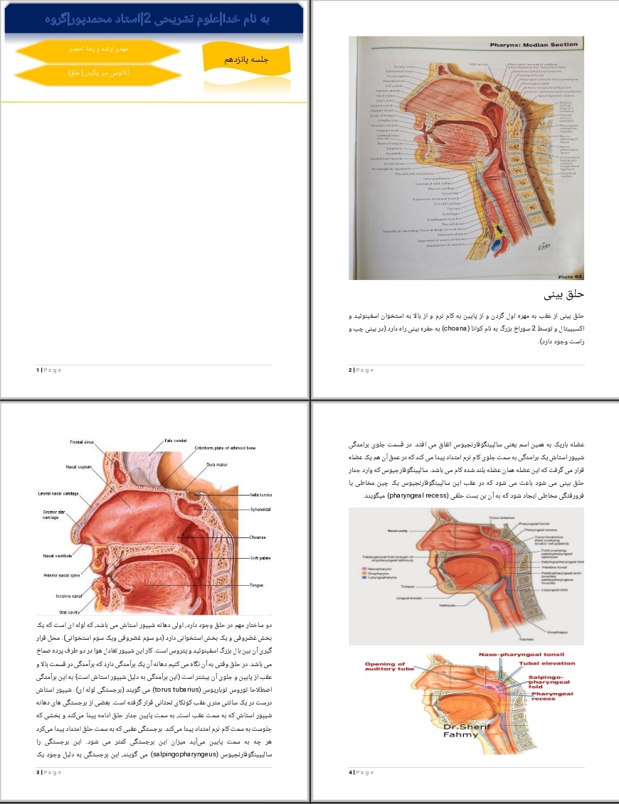 جزوه آناتومی سر و گردن (حلق)