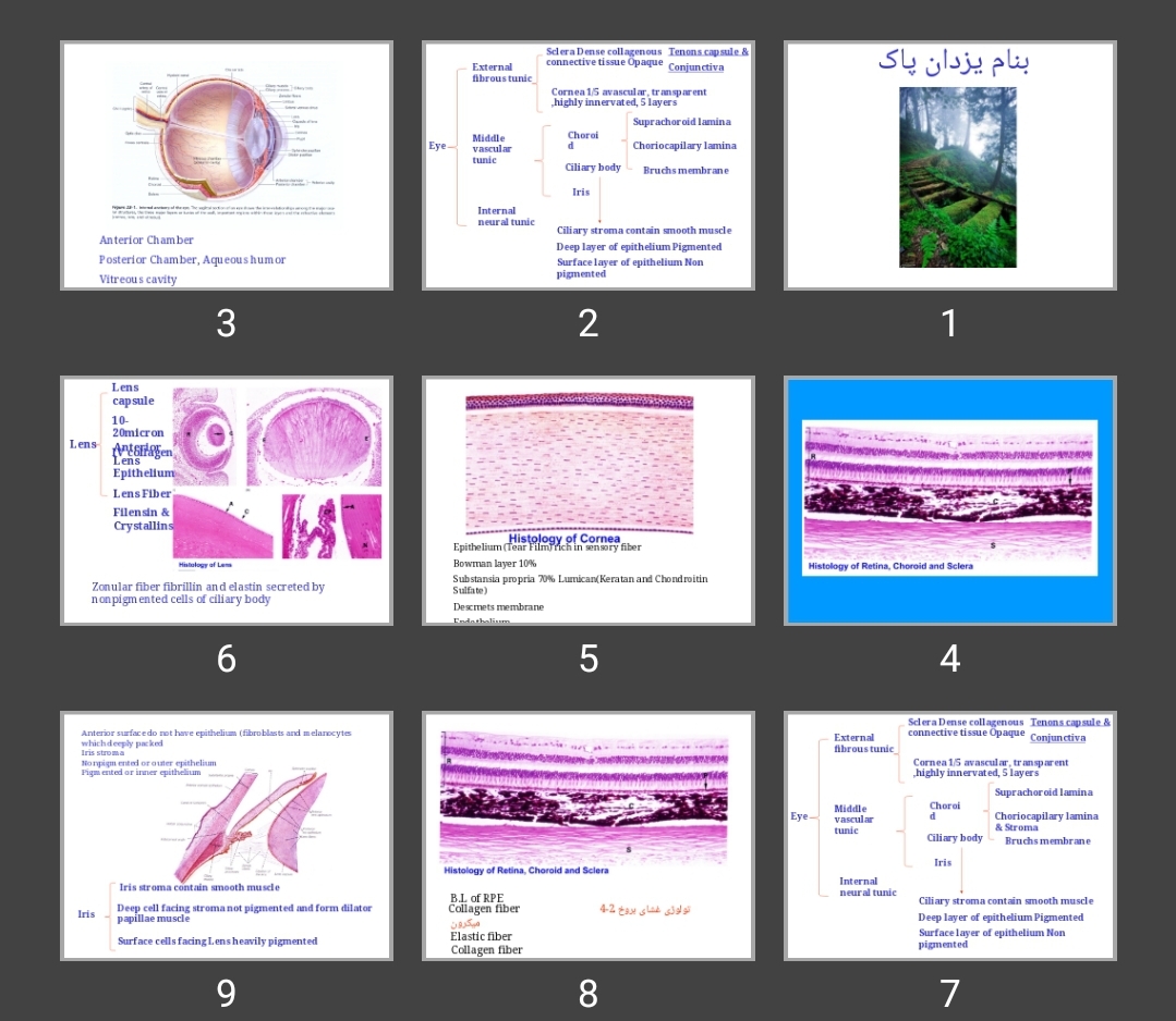 پاورپوینت Retina