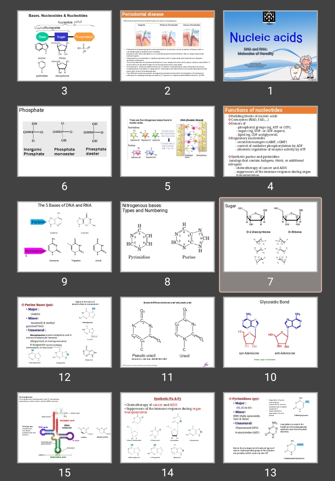 پاورپوینت Nucleic acids