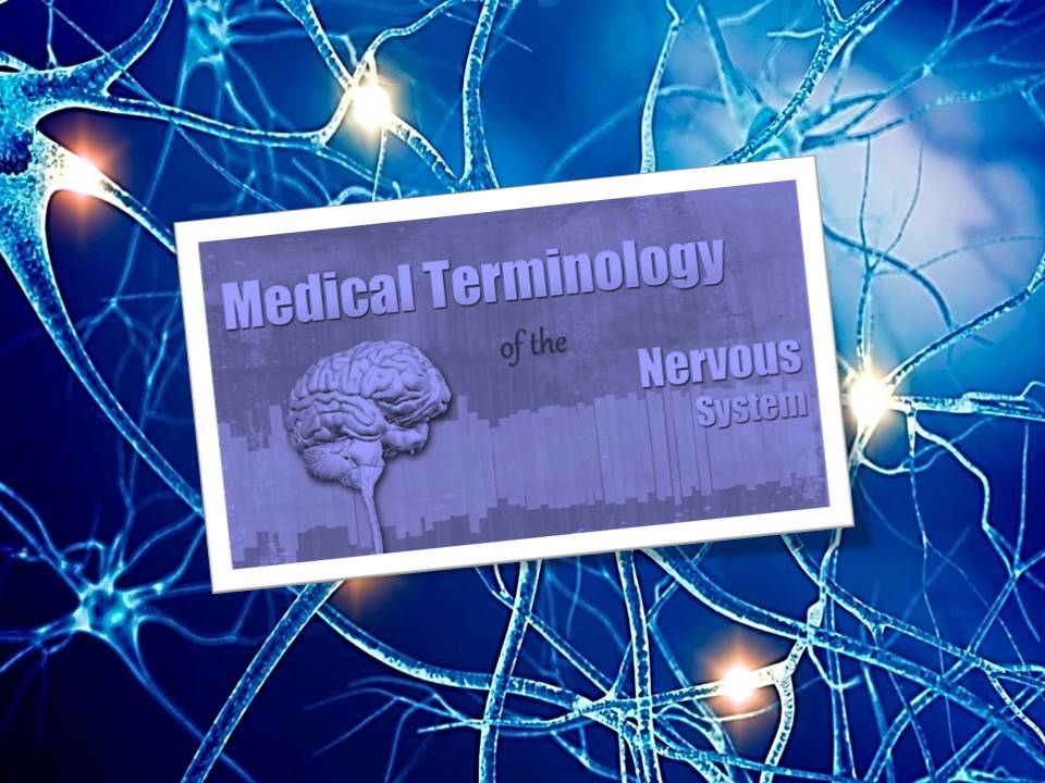   پاورپوینت حرفه ای جامع با موضوع ترمینولوژی دستگاه عصبی (Nervous system)