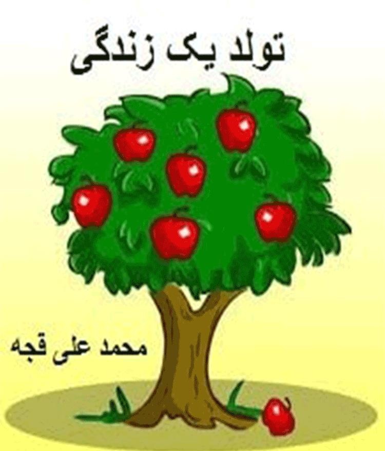 کتاب داستان « تولد یک زندگی » PDF