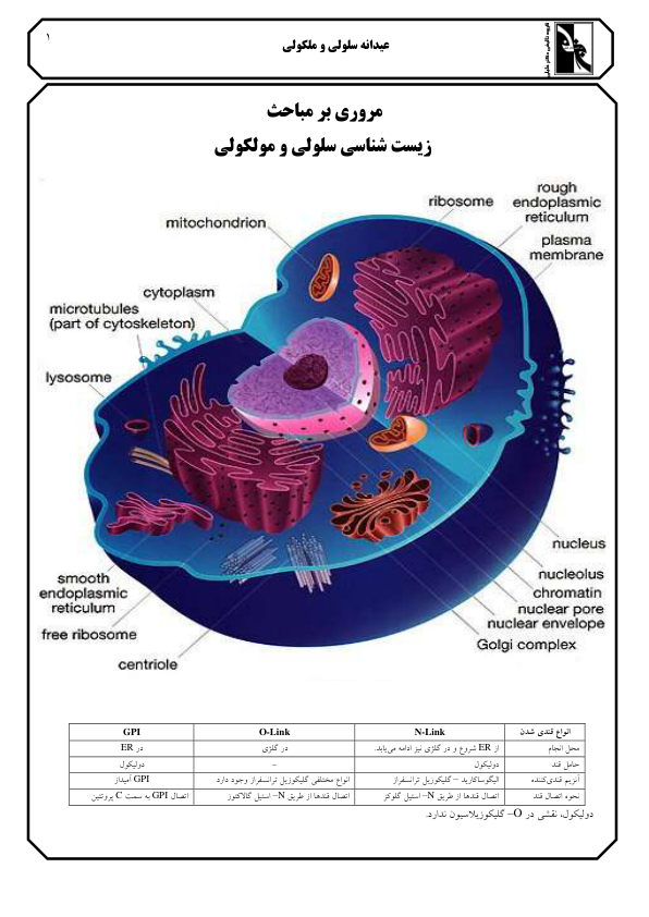 (نسخه کامل)✅           📝جزوه: زیست شناسی سلولی مولکولی