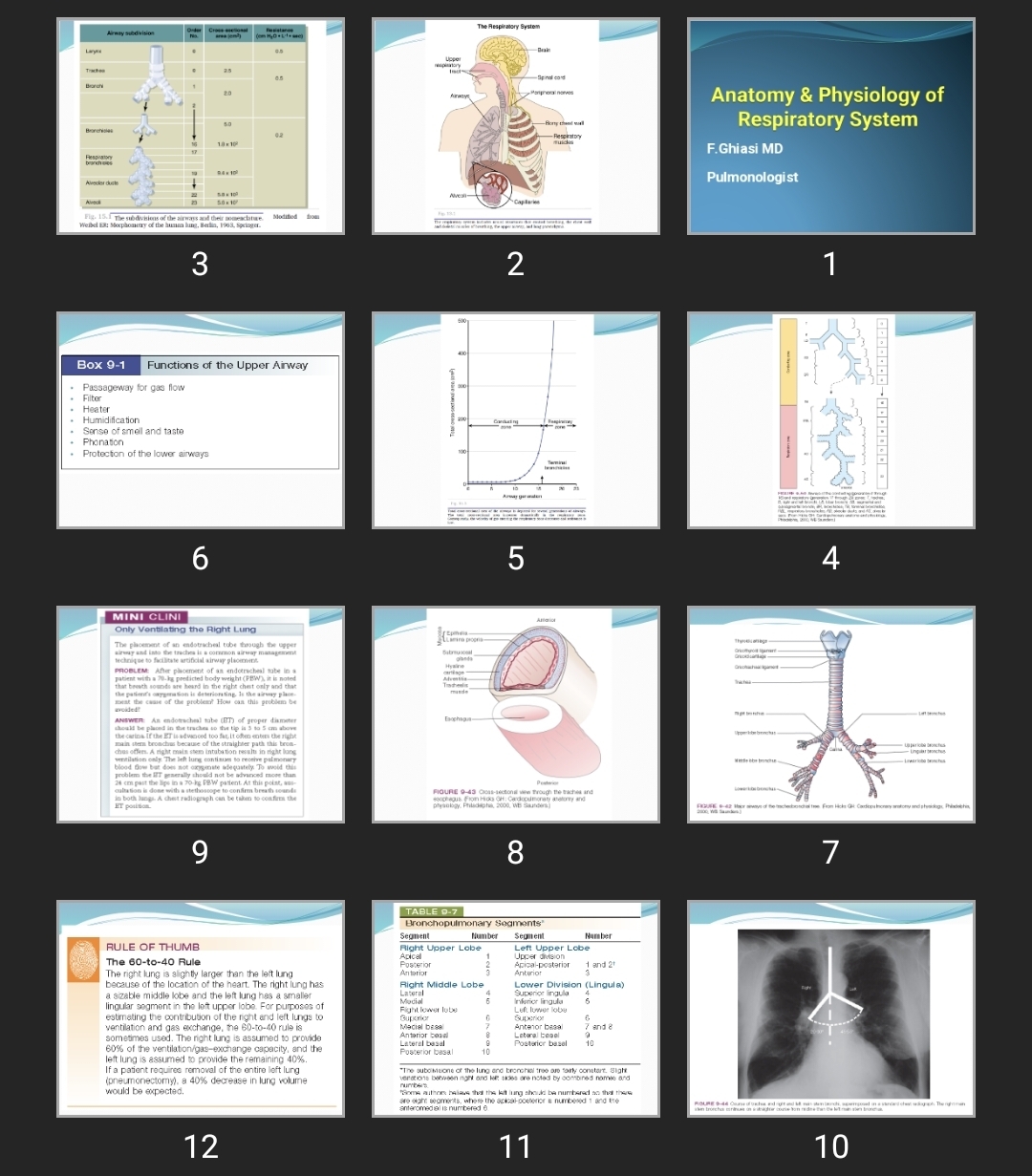 پاورپوینت Anatomy & Physiology of Respiratory System