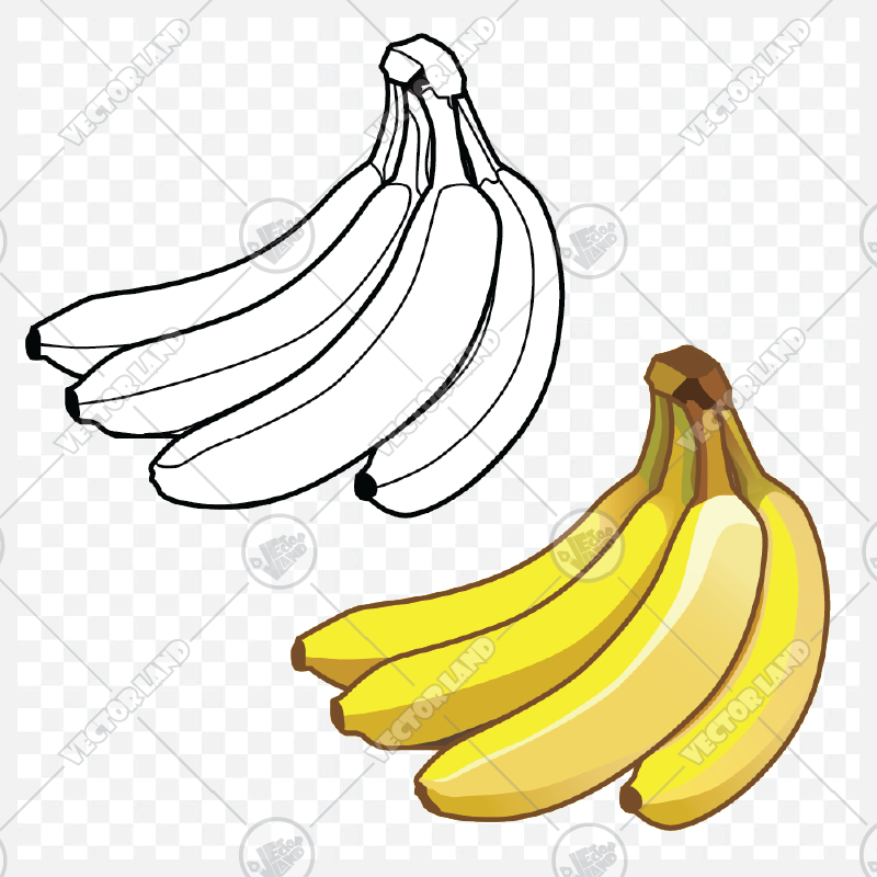 دانلود وکتور موز