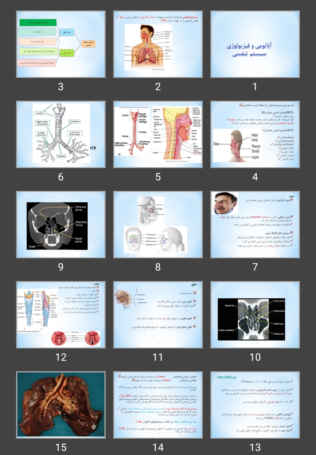 پاورپوینت آناتومی و فیزیولوژی سیستم تنفسی