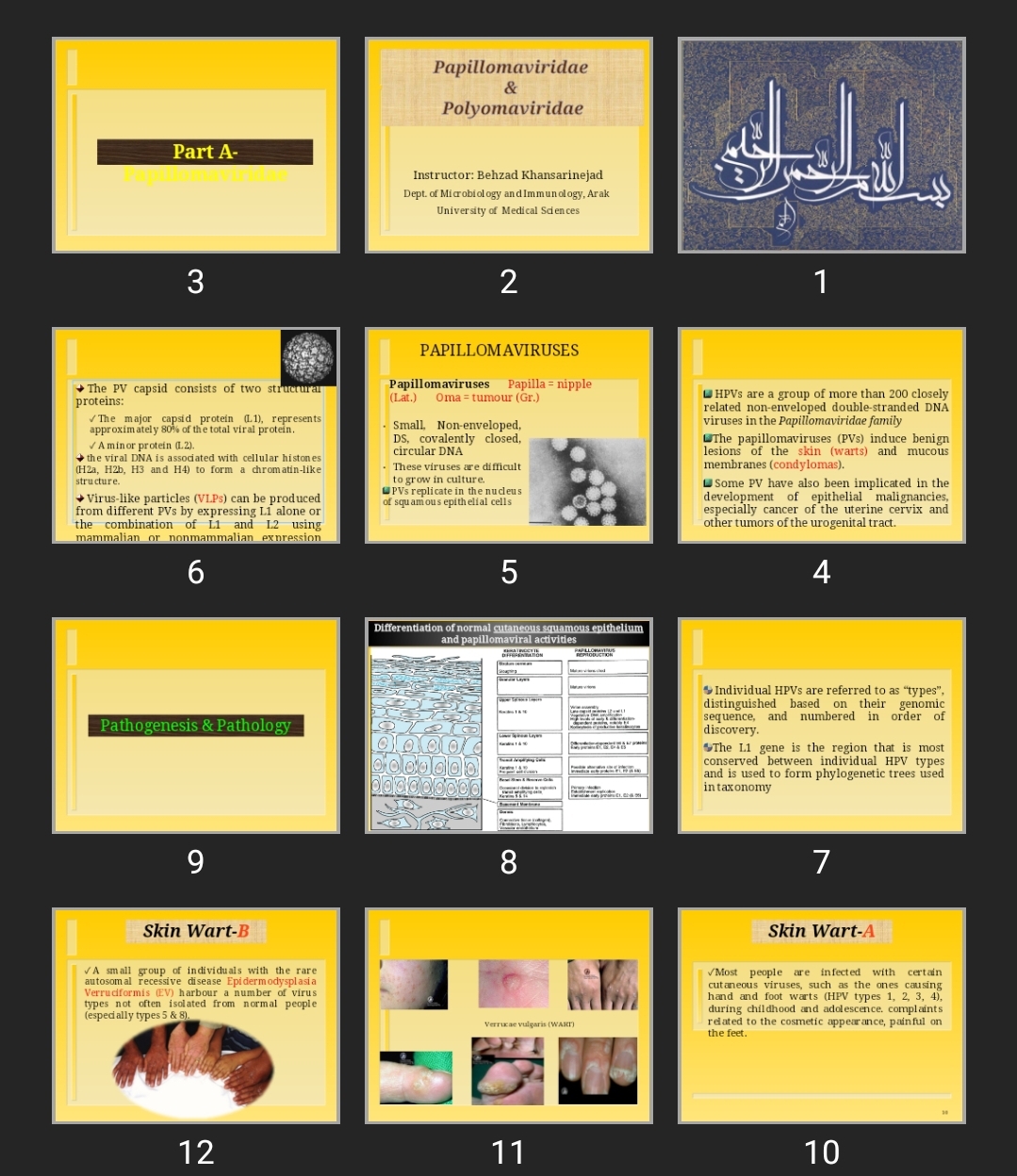 پاورپوینت Papillomaviridae & Polyomaviridae