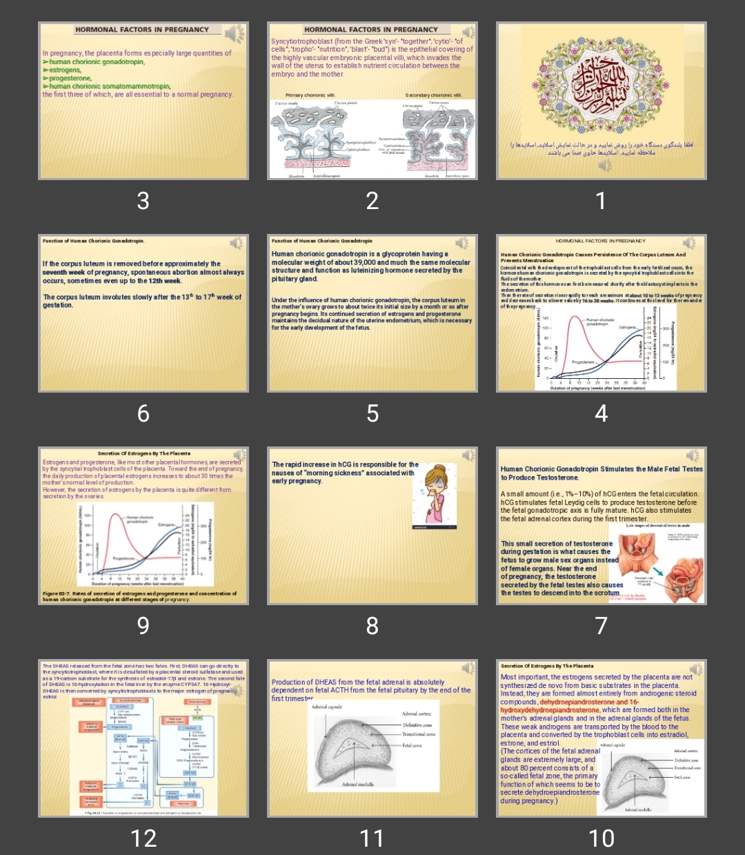 پاورپوینت pregnancy hormones