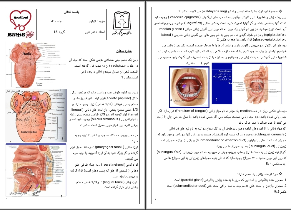 جزوه حفره دهانی جلسه دوم